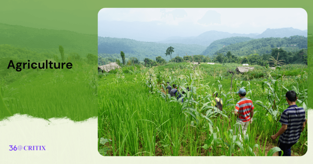 Best places to visit in Mizoram 4 Agriculture
