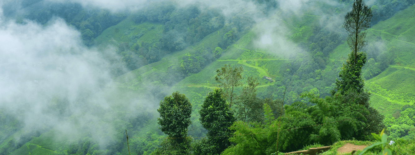 West Bengal