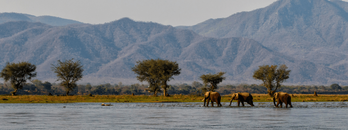 Manas National Park, Assam